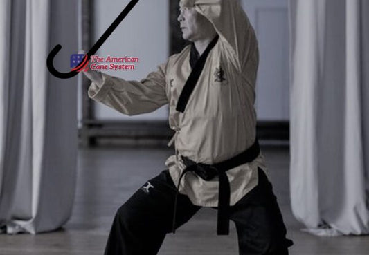 Martial Arts for Seniors-Fighting Elder Abuse