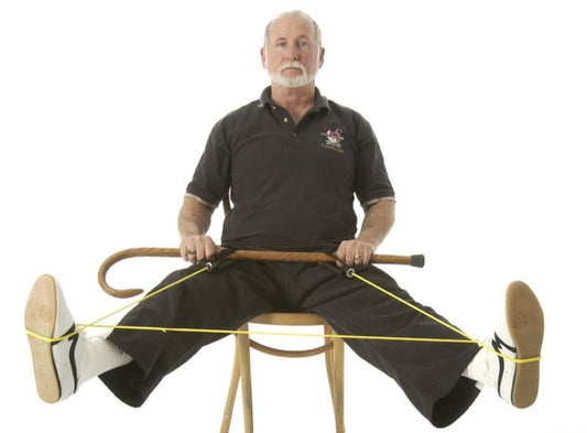 Fighting COVID19 Virtually with The American Cane System