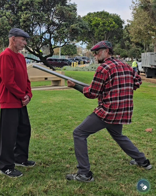 Examining reflections#5 from The American Cane System